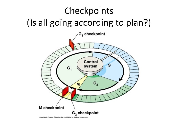 Checkpoints (Is all going according to plan? ) Checkpoints (Is all going according to plan? )