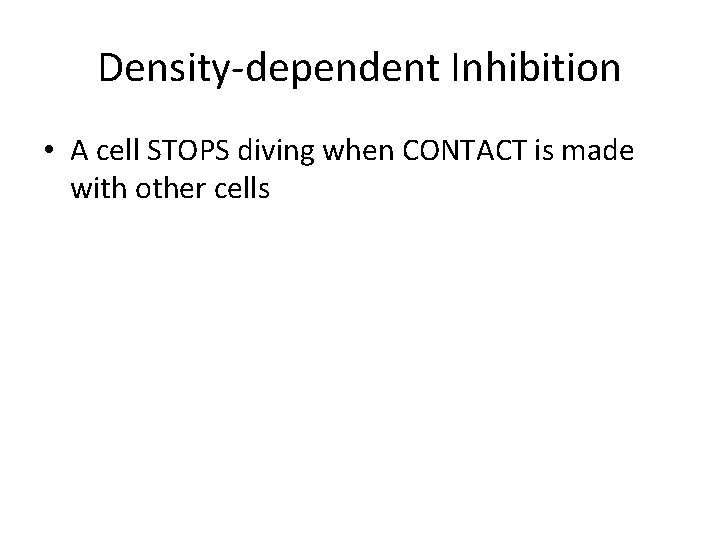 Density-dependent Inhibition • A cell STOPS diving when CONTACT is made with other cells Density-dependent Inhibition • A cell STOPS diving when CONTACT is made with other cells