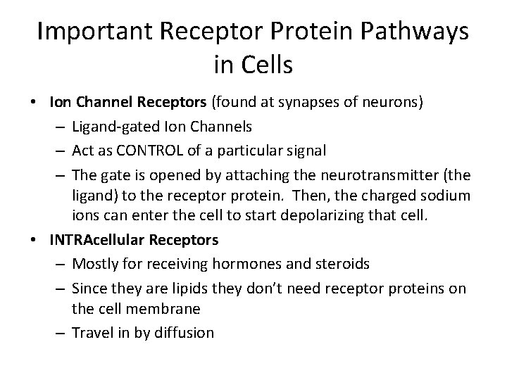 Important Receptor Protein Pathways in Cells • Ion Channel Receptors (found at synapses of Important Receptor Protein Pathways in Cells • Ion Channel Receptors (found at synapses of