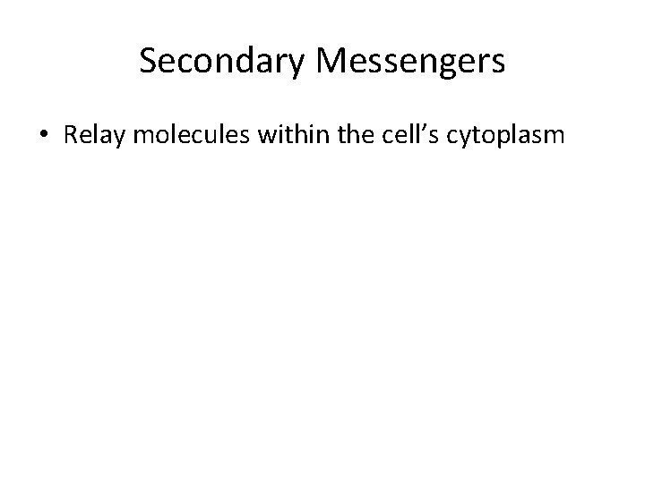 Secondary Messengers • Relay molecules within the cell’s cytoplasm Secondary Messengers • Relay molecules within the cell’s cytoplasm