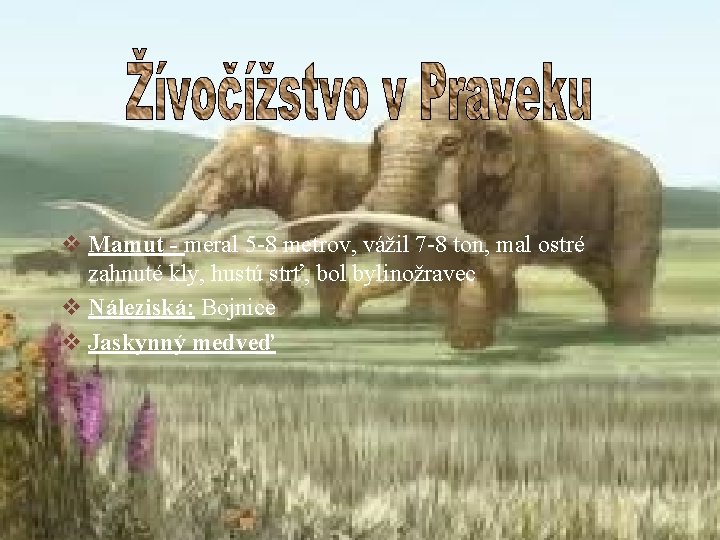 v Mamut - meral 5 -8 metrov, vážil 7 -8 ton, mal ostré zahnuté