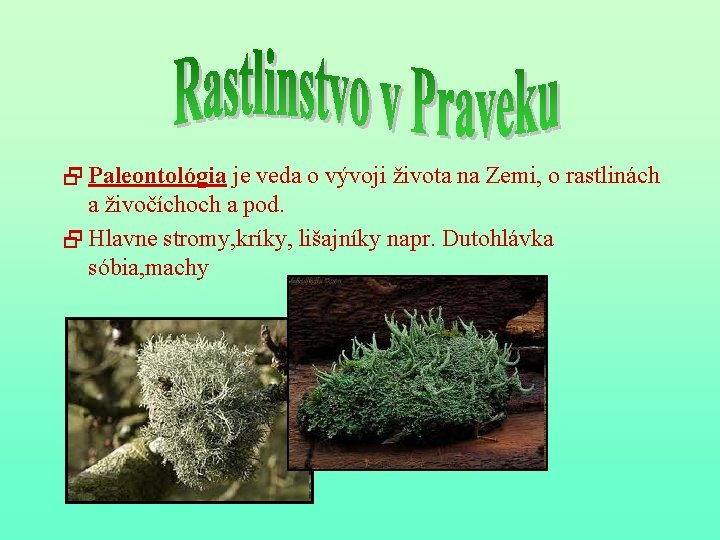 2 Paleontológia je veda o vývoji života na Zemi, o rastlinách a živočíchoch a