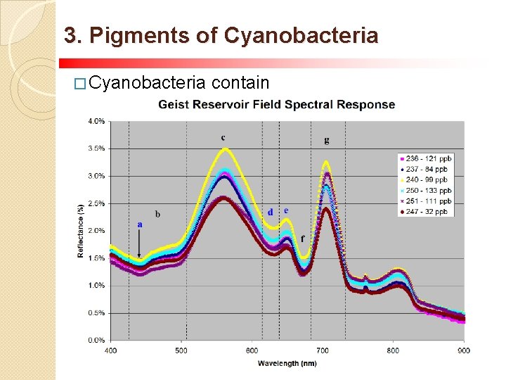 3. Pigments of Cyanobacteria � Cyanobacteria pigments contain ◦ Chlorophyll ◦ Phycocyanin ◦ Carotenoids/