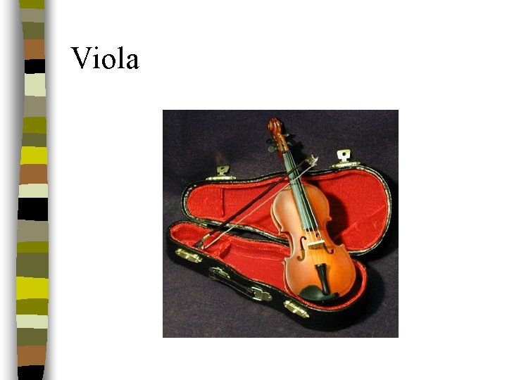 Viola 