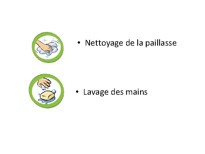  • Nettoyage de la paillasse • Lavage des mains 