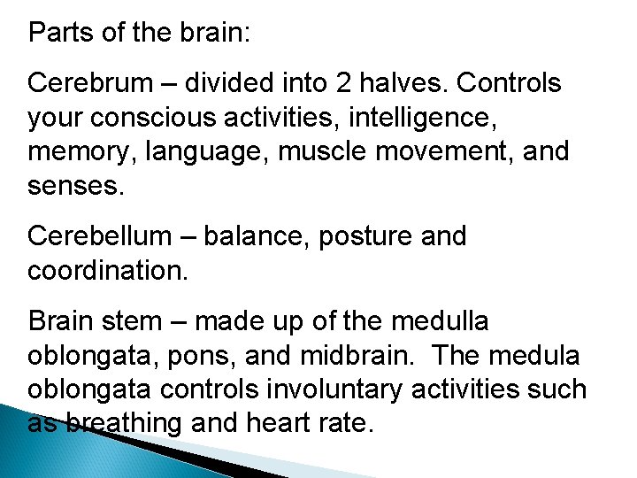 Parts of the brain: Cerebrum – divided into 2 halves. Controls your conscious activities,