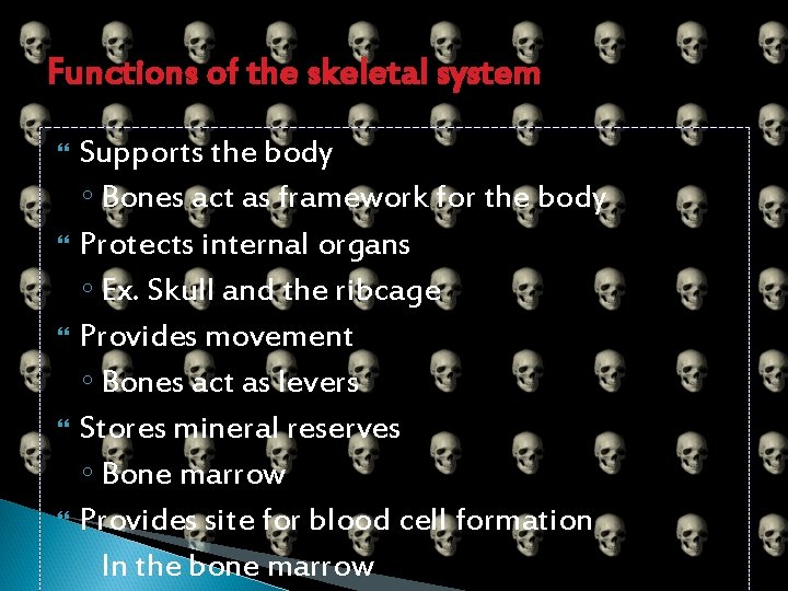 Functions of the skeletal system Supports the body ◦ Bones act as framework for
