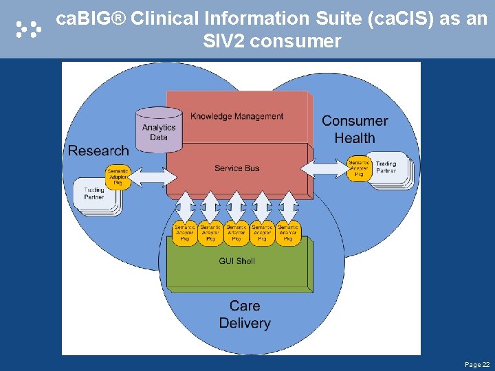ca. BIG® Clinical Information Suite (ca. CIS) as an SIV 2 consumer Page 22
