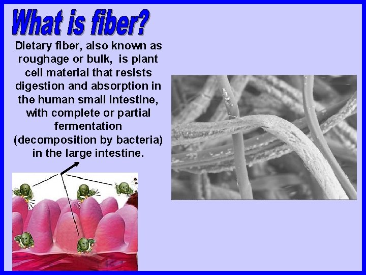 Dietary fiber, also known as roughage or bulk, is plant cell material that resists