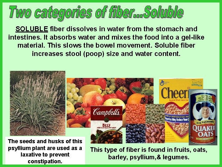 SOLUBLE fiber dissolves in water from the stomach and intestines. It absorbs water and