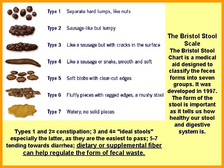 The Bristol Stool Scale Types 1 and 2= constipation; 3 and 4= "ideal stools"