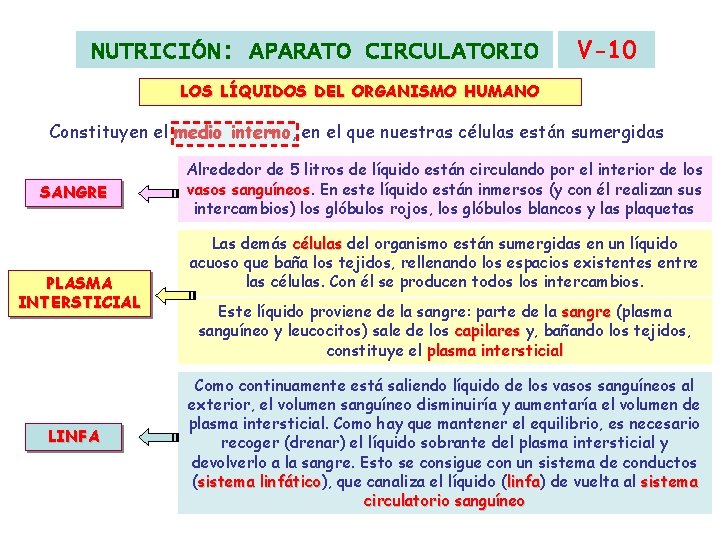 NUTRICIÓN: APARATO CIRCULATORIO V-10 LOS LÍQUIDOS DEL ORGANISMO HUMANO Constituyen el medio interno, interno NUTRICIÓN: APARATO CIRCULATORIO V-10 LOS LÍQUIDOS DEL ORGANISMO HUMANO Constituyen el medio interno, interno