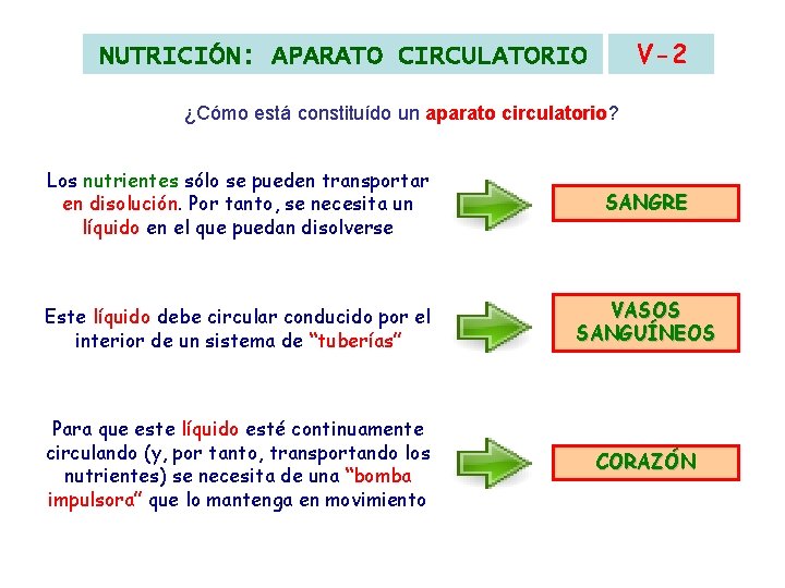 V-2 NUTRICIÓN: APARATO CIRCULATORIO ¿Cómo está constituído un aparato circulatorio? circulatorio Los nutrientes sólo V-2 NUTRICIÓN: APARATO CIRCULATORIO ¿Cómo está constituído un aparato circulatorio? circulatorio Los nutrientes sólo
