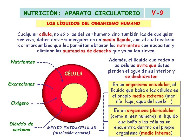 NUTRICIÓN: APARATO CIRCULATORIO V-9 LOS LÍQUIDOS DEL ORGANISMO HUMANO Cualquier célula, célula no sólo NUTRICIÓN: APARATO CIRCULATORIO V-9 LOS LÍQUIDOS DEL ORGANISMO HUMANO Cualquier célula, célula no sólo