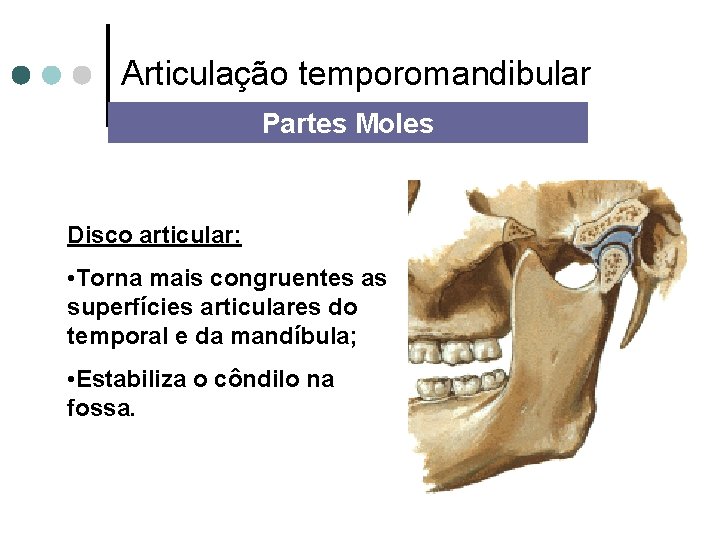 Articulação temporomandibular Partes Moles Disco articular: • Torna mais congruentes as superfícies articulares do