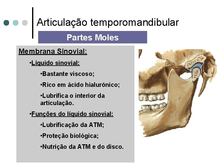 Articulação temporomandibular Partes Moles Membrana Sinovial: • Líquido sinovial: • Bastante viscoso; • Rico