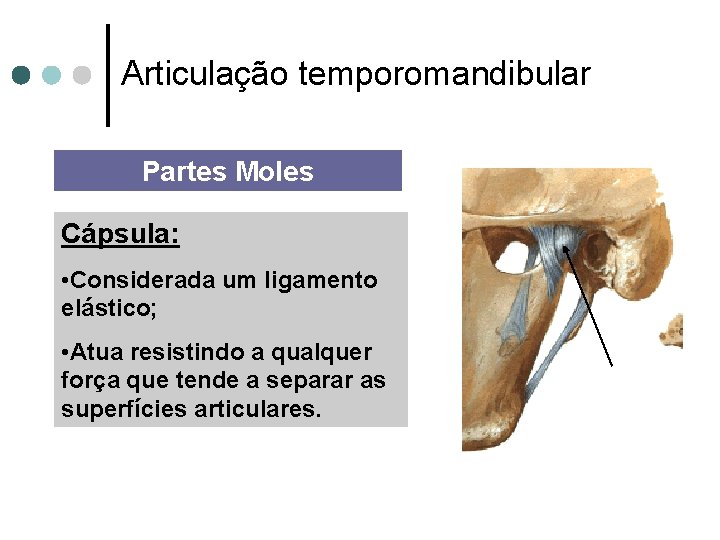 Articulação temporomandibular Partes Moles Cápsula: • Considerada um ligamento elástico; • Atua resistindo a
