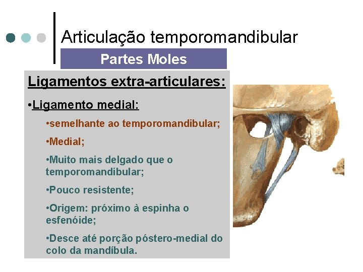 Articulação temporomandibular Partes Moles Ligamentos extra-articulares: • Ligamento medial: • semelhante ao temporomandibular; •