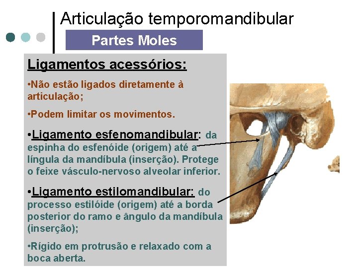 Articulação temporomandibular Partes Moles Ligamentos acessórios: • Não estão ligados diretamente à articulação; •