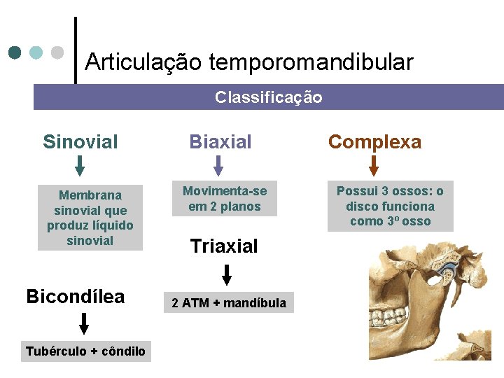 Articulação temporomandibular Classificação Sinovial Membrana sinovial que produz líquido sinovial Bicondílea Tubérculo + côndilo