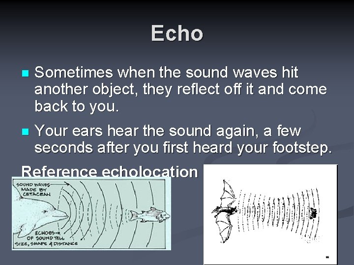 Echo n Sometimes when the sound waves hit another object, they reflect off it