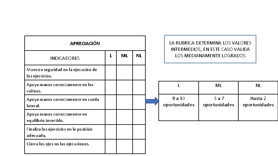 APRECIACIÓN INDICADORES L ML NL LA RUBRICA DETERMINA LOS VALORES INTERMEDIOS, EN ESTE CASO