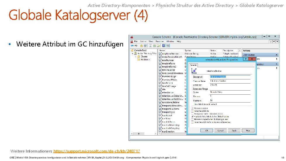 Active Directory-Komponenten > Physische Struktur des Active Directory > Globale Katalogserver • Weitere Attribut
