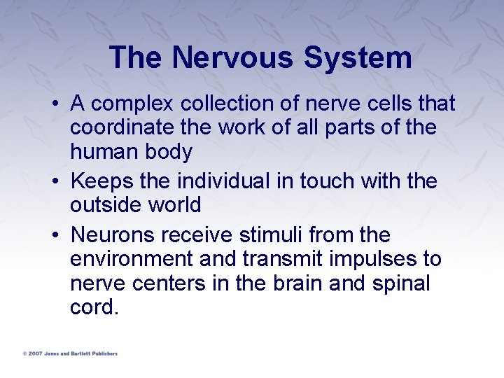 The Nervous System • A complex collection of nerve cells that coordinate the work