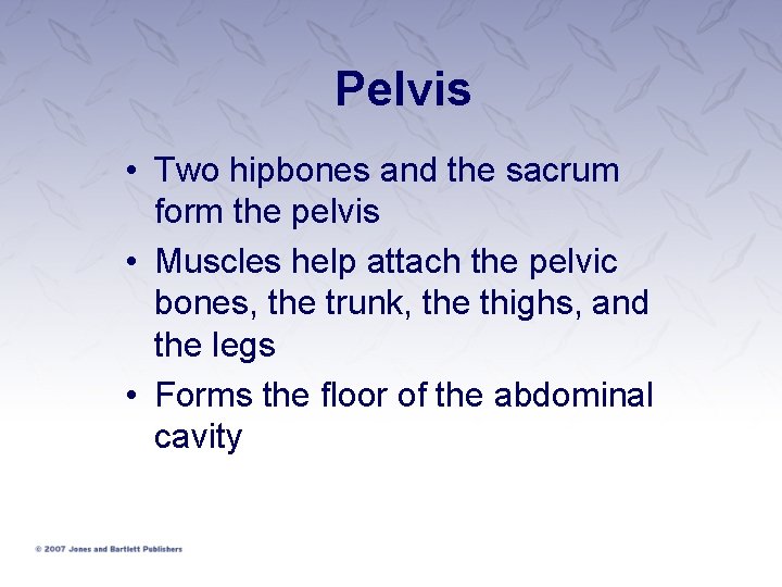 Pelvis • Two hipbones and the sacrum form the pelvis • Muscles help attach