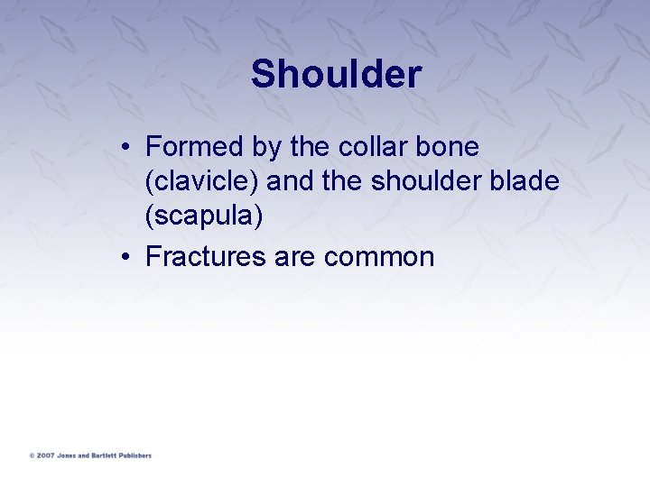 Shoulder • Formed by the collar bone (clavicle) and the shoulder blade (scapula) •