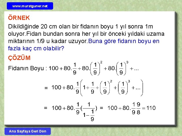 www. muratguner. net ÖRNEK Dikildiğinde 20 cm olan bir fidanın boyu 1 yıl sonra