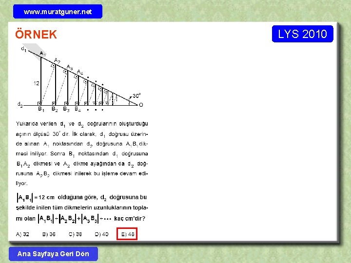 www. muratguner. net ÖRNEK Ana Sayfaya Geri Dön LYS 2010 