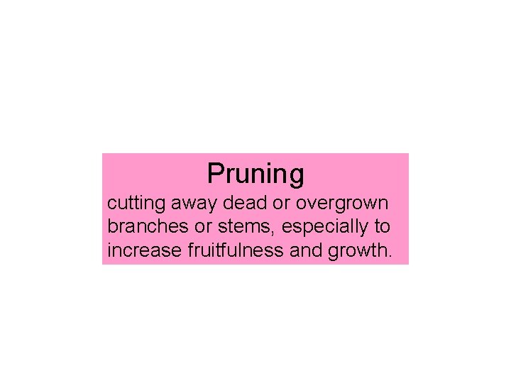 Pruning cutting away dead or overgrown branches or stems, especially to increase fruitfulness and