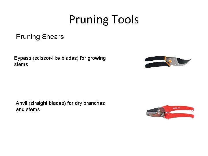 Pruning Tools Pruning Shears Bypass (scissor-like blades) for growing stems Anvil (straight blades) for
