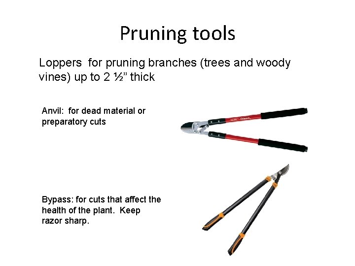 Pruning tools Loppers for pruning branches (trees and woody vines) up to 2 ½”