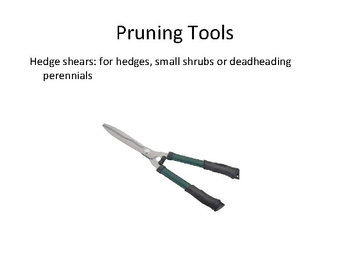 Pruning Tools Hedge shears: for hedges, small shrubs or deadheading perennials 