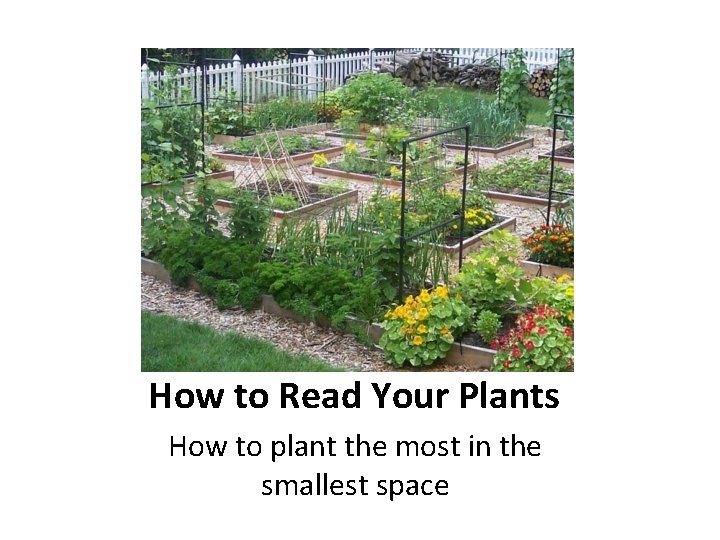 How to Read Your Plants How to plant the most in the smallest space