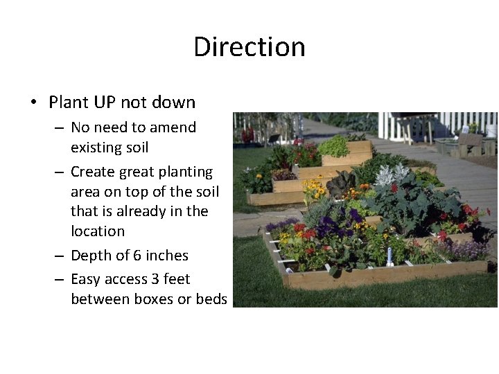 Direction • Plant UP not down – No need to amend existing soil –