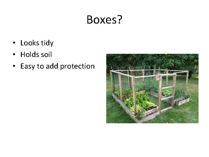 Boxes? • Looks tidy • Holds soil • Easy to add protection 