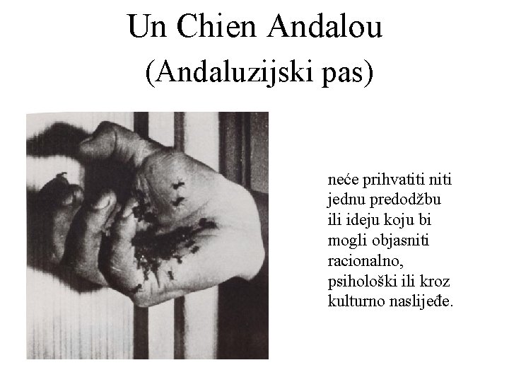 Un Chien Andalou (Andaluzijski pas) neće prihvatiti niti jednu predodžbu ili ideju koju bi