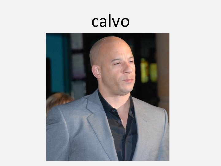 calvo 