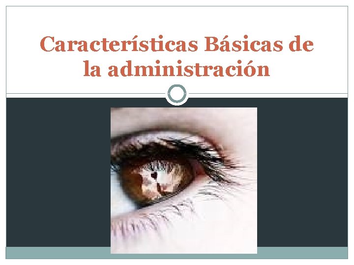 Características Básicas de la administración 
