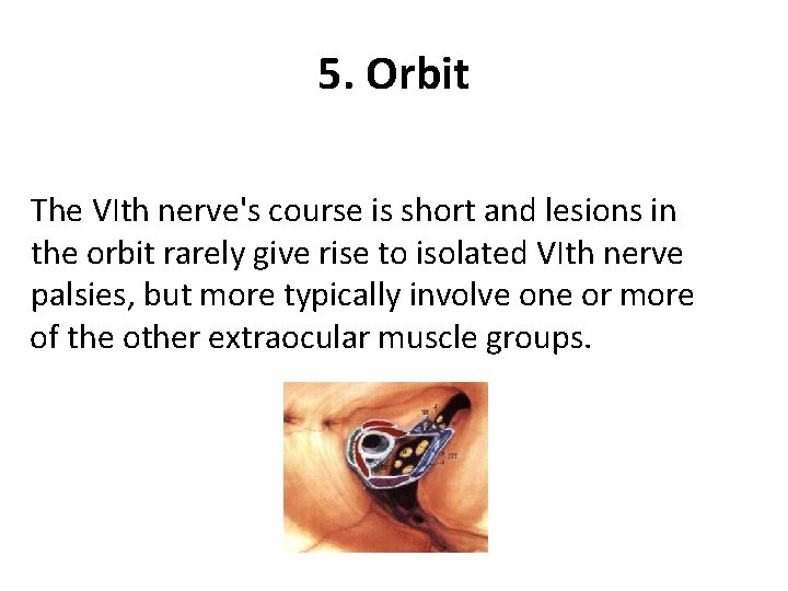 5. Orbit The VIth nerve's course is short and lesions in the orbit rarely