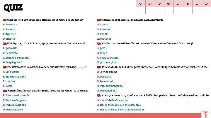 QUIZ Q 1 Q 2 Q 3 Q 4 Q 5 Q 6 Q