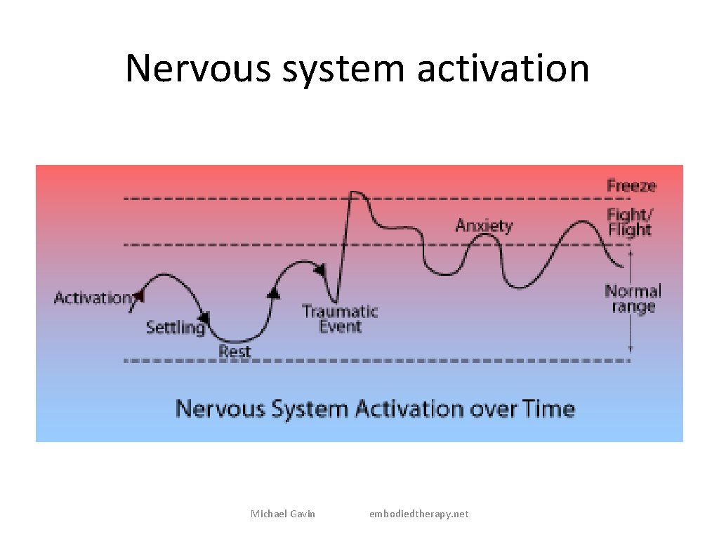 Nervous system activation Michael Gavin embodiedtherapy. net 