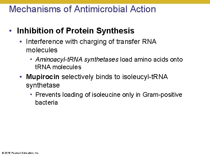 Mechanisms of Antimicrobial Action • Inhibition of Protein Synthesis • Interference with charging of