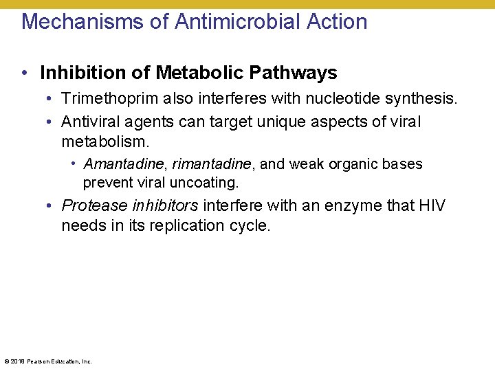 Mechanisms of Antimicrobial Action • Inhibition of Metabolic Pathways • Trimethoprim also interferes with