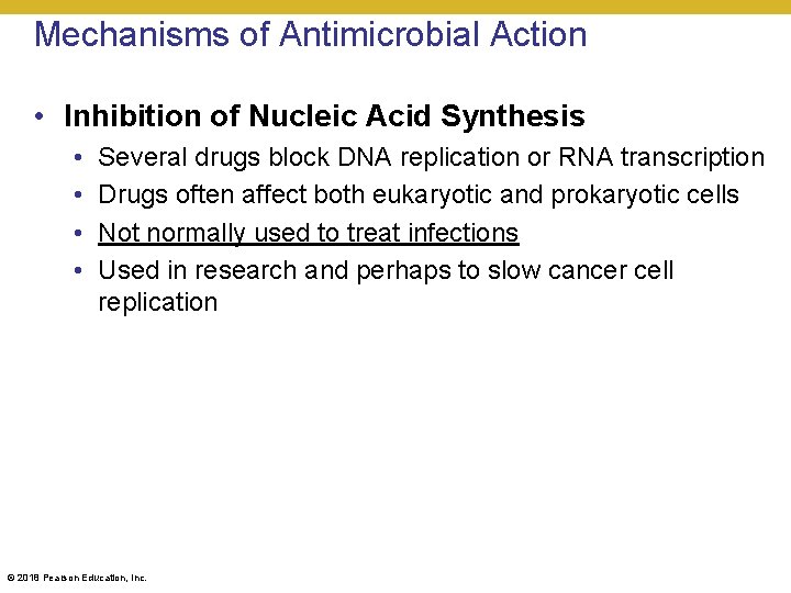Mechanisms of Antimicrobial Action • Inhibition of Nucleic Acid Synthesis • • Several drugs