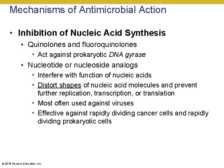 Mechanisms of Antimicrobial Action • Inhibition of Nucleic Acid Synthesis • Quinolones and fluoroquinolones