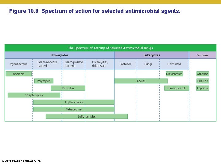 Figure 10. 8 Spectrum of action for selected antimicrobial agents. © 2018 Pearson Education,